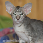 Бабочка 2,5 месяца