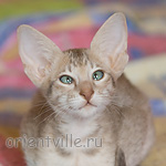 Люся 2,5 месяца