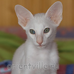 Hancock 2,5 месяца