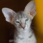 Бабочка 2,5 месяца