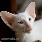 Гайка, 2,5 месяца