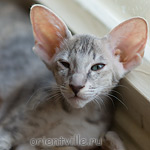 Бабочка 2,5 месяца