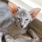 Бабочка 2,5 месяца