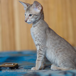 Люся 2,5 месяца