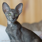 Helen 2,5 месяца