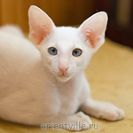 Hitch 2,5 месяца