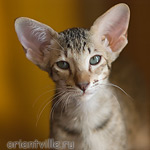 Гера 2,5 месяца