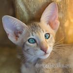 Люся 2,5 месяца