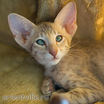 Люся 2,5 месяца