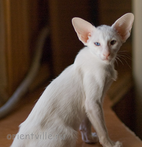 Гайка, 2,5 месяца