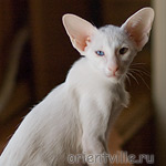 Гайка, 2,5 месяца