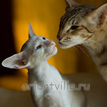 Гайка, 2,5 месяца