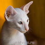 Hancock 2,5 месяца