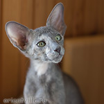 Helen 2,5 месяца