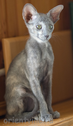 Helen 2,5 месяца