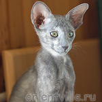 Helen 2,5 месяца