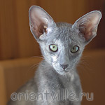 Helen 2,5 месяца