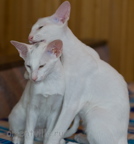 Гайка, 3,5 месяца