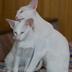 Гайка, 3,5 месяца