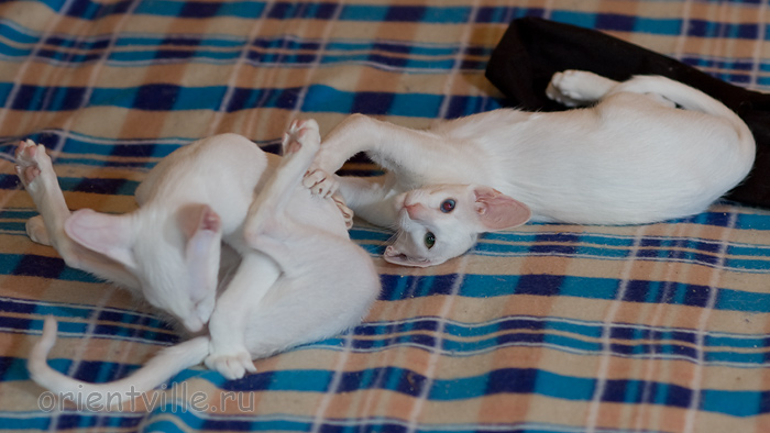 Гайка, 3,5 месяца