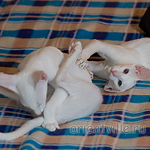 Гайка, 3,5 месяца