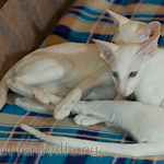 Hancock 3,5 месяца