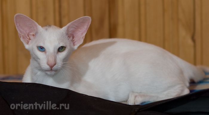 Гайка, 3,5 месяца