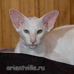 Гайка, 3,5 месяца