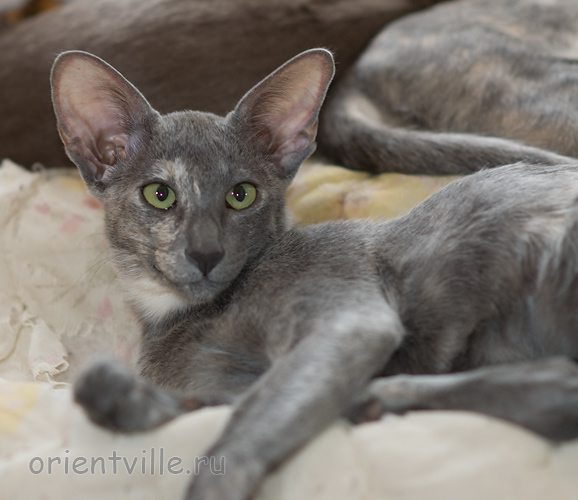 Helen 3,5 месяца