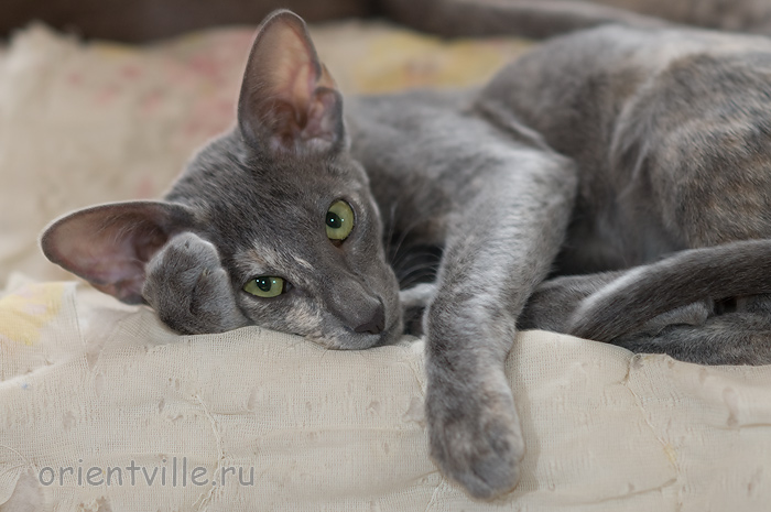 Helen 3,5 месяца