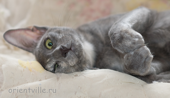 Helen 3,5 месяца