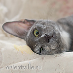 Helen 3,5 месяца