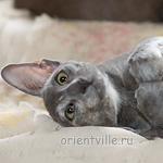 Helen 3,5 месяца