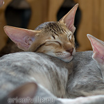 Пуговка, 3,5 месяца