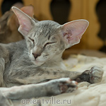 Бабочка 3,5 месяца