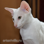 Hancock 3,5 месяца