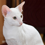 Hancock 3,5 месяца