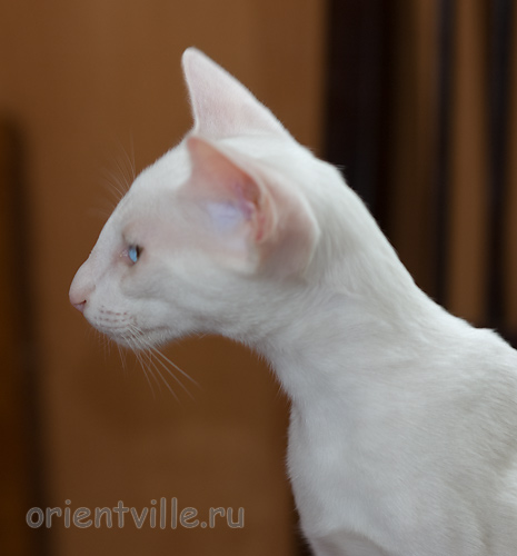 Hancock 3,5 месяца