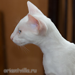 Hancock 3,5 месяца