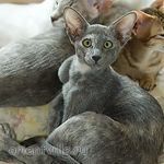 Helen 3,5 месяца