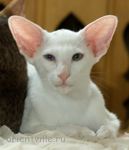 Гайка, 3,5 месяца