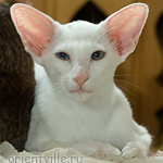 Гайка, 3,5 месяца