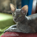 Helen 3,5 месяца