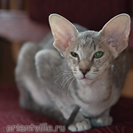 Бабочка 3,5 месяца