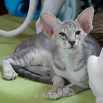 Бабочка 3,5 месяца