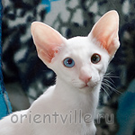 Hitch 3,5 месяца