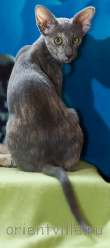 Helen 3,5 месяца