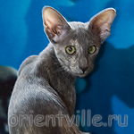 Helen 3,5 месяца