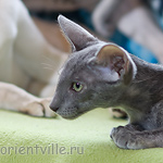 Helen 3,5 месяца