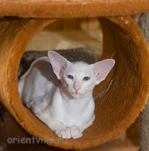 Гайка, 3,5 месяца